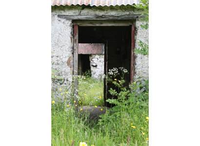 Farm outhouse, Co. Cavan - Louise M Harrington