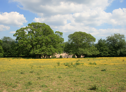 Knocklofty House and Demesne, Co. Tipperary - Louise M Harrington