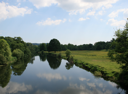 River Suir on the edge of Knocklofty Demesne, Co. Tipperary - Louise M Harrington