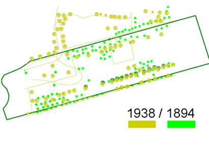 Planting analysis of 18th and 19th century landscaping at the Malton Hotel, Killarney - Louise M Harrington